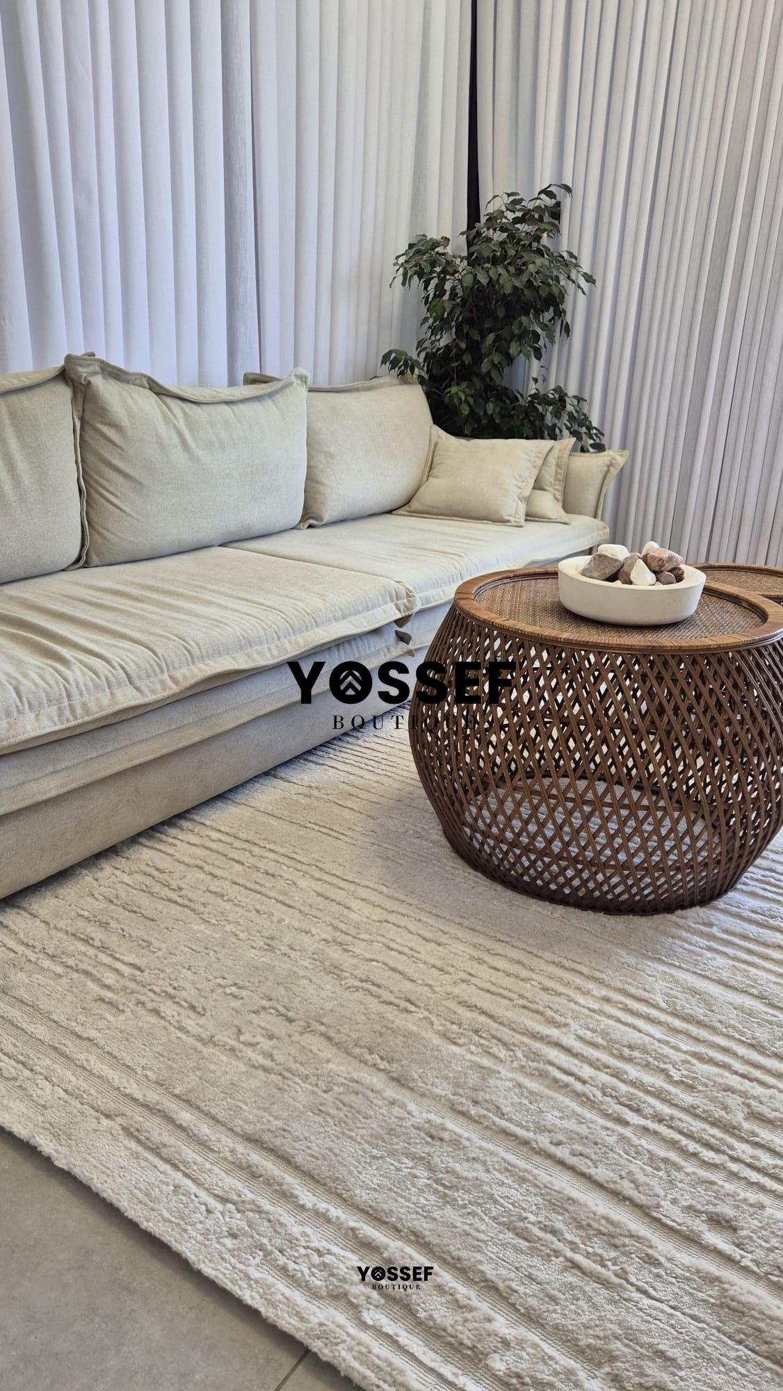 WhatsApp Image 2026-02-02 at 12.47.23.jpeg