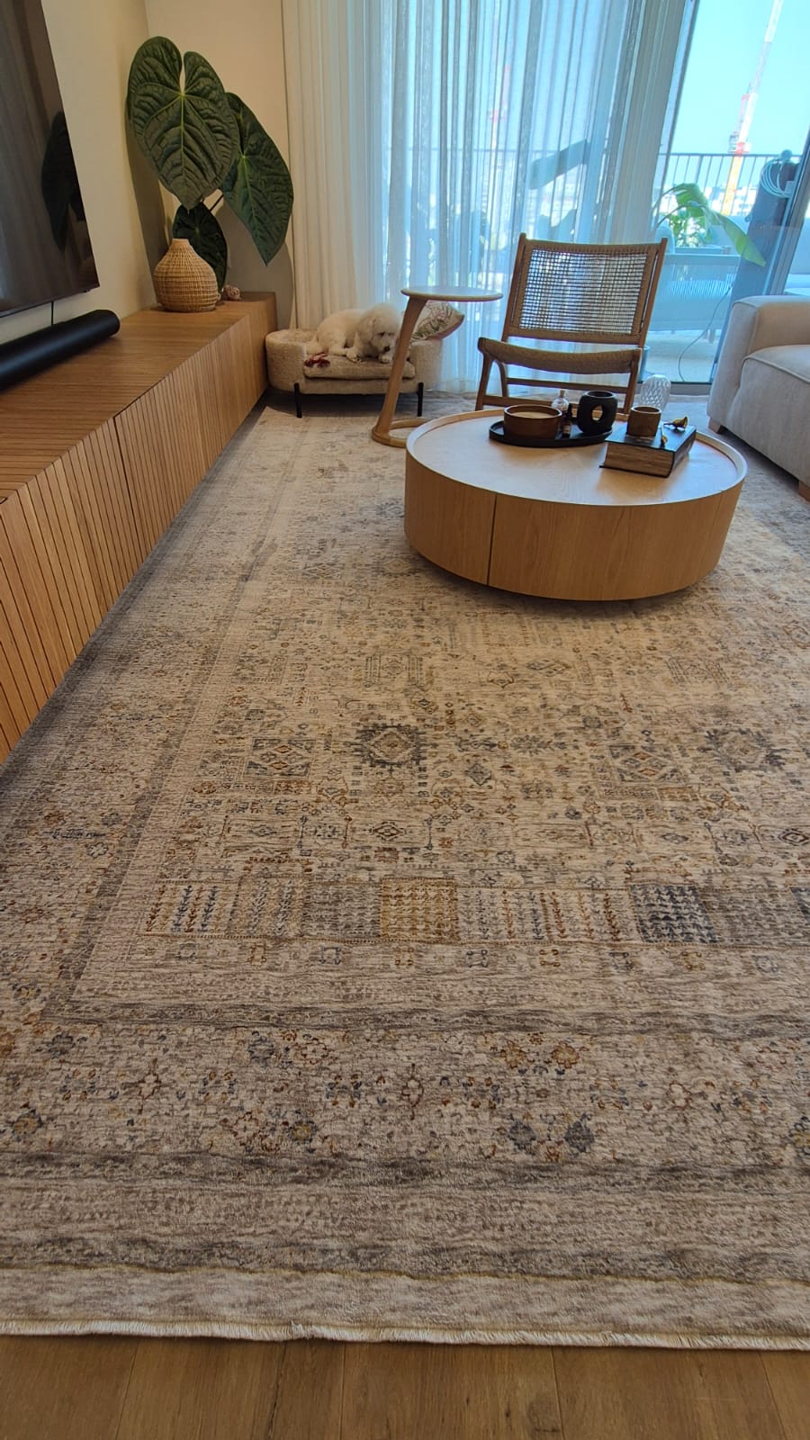 WhatsApp Image 2026-03-09 at 07.47.07 (3).jpeg