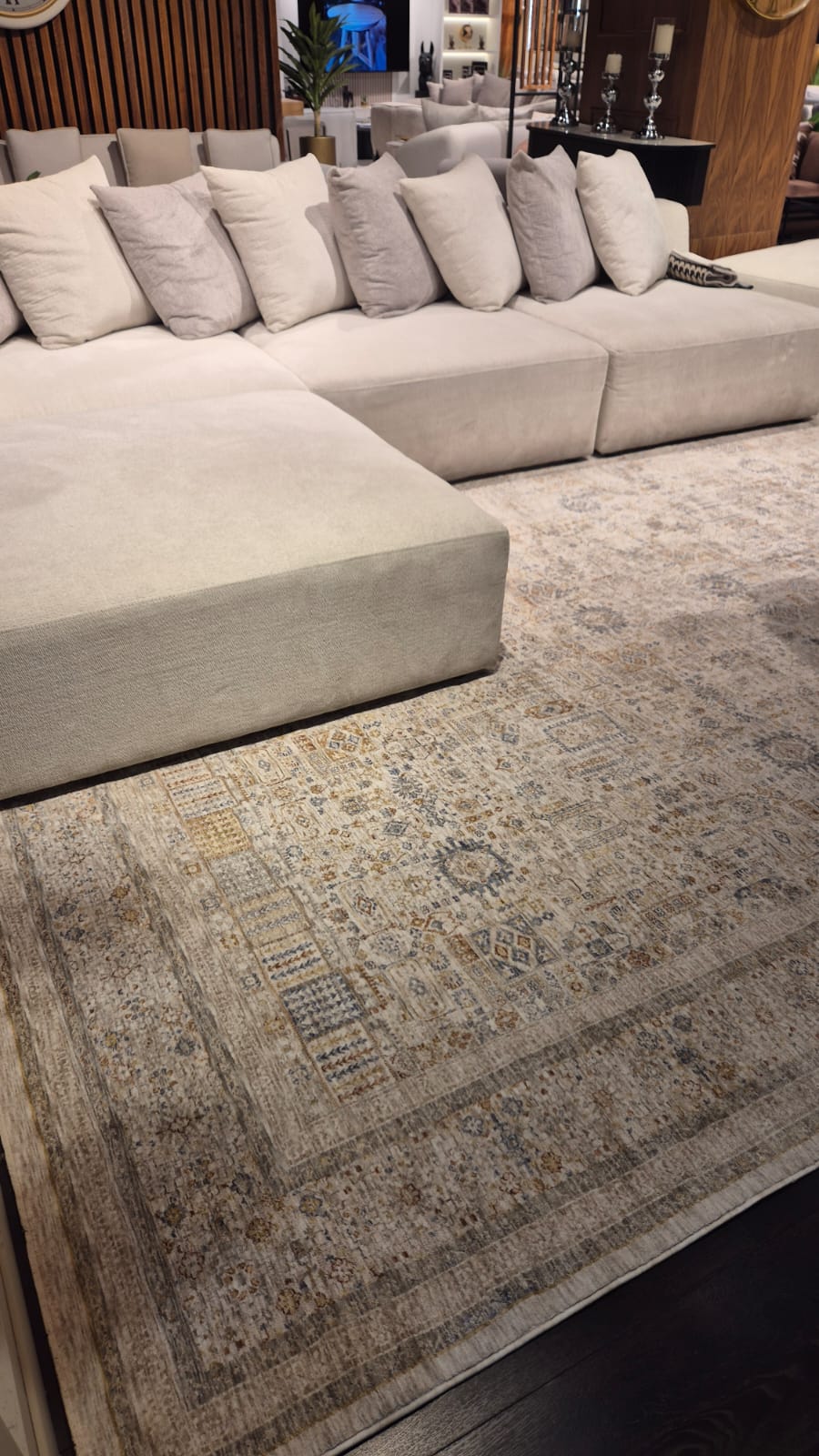 WhatsApp Image 2026-03-09 at 07.47.07.jpeg