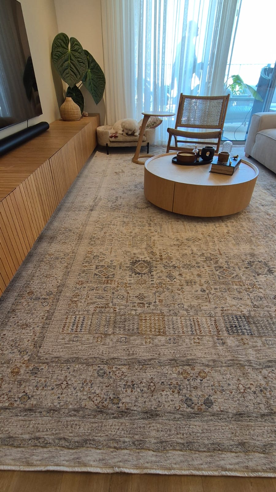 WhatsApp Image 2026-03-09 at 07.47.08.jpeg