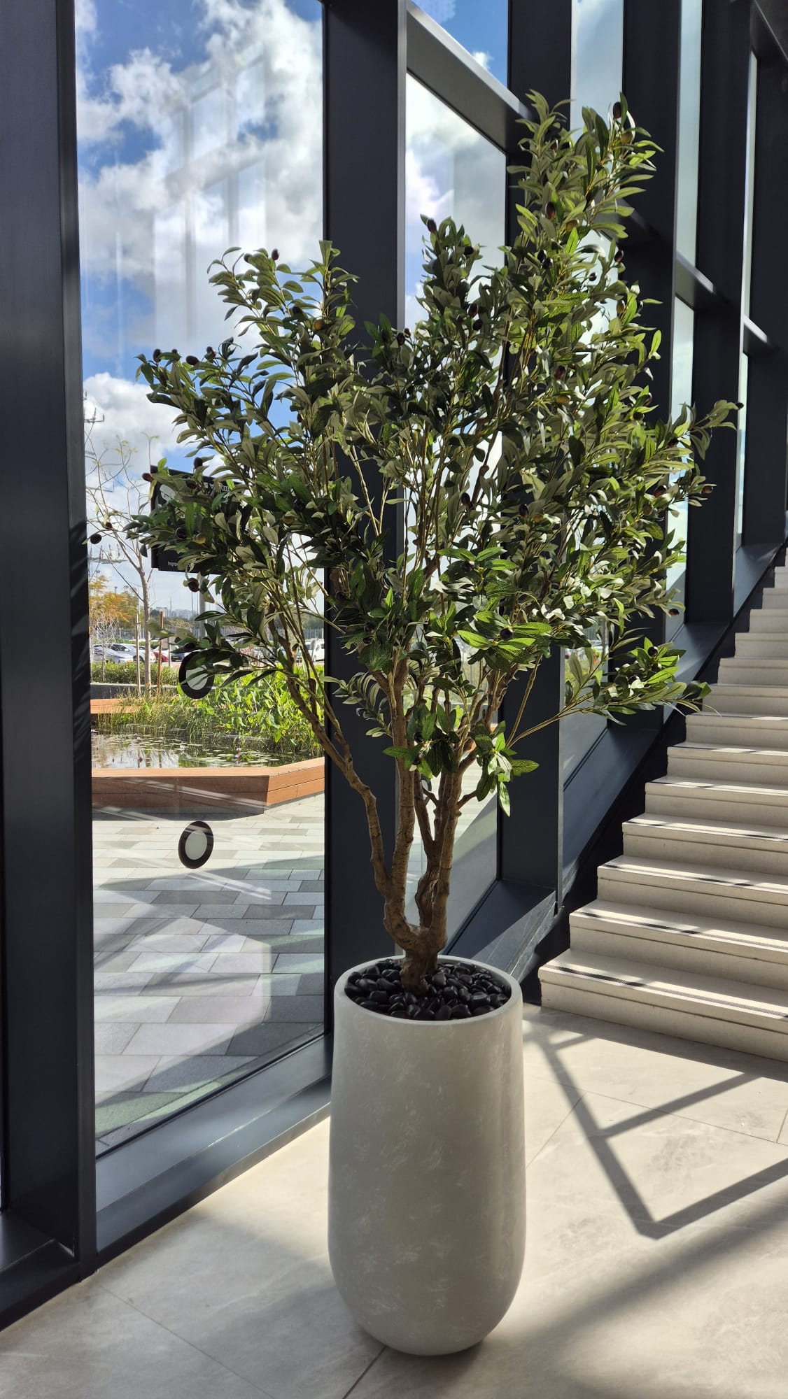 עץ זית וכד סהרה פיברגלאס