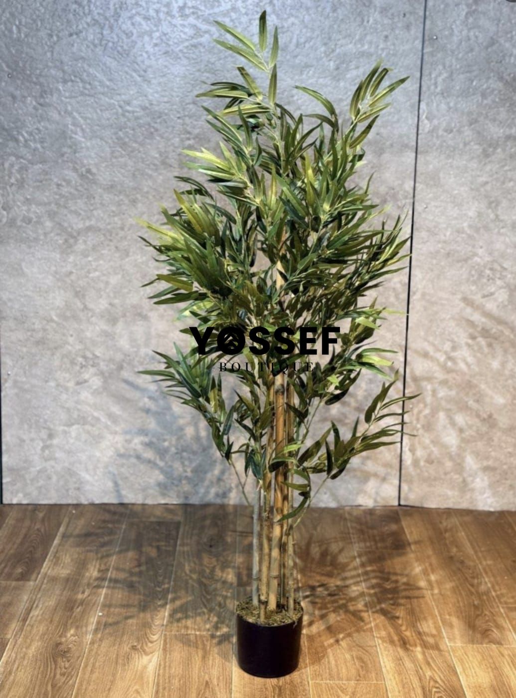 WhatsApp Image 2026-02-16 at 09.29.18.jpeg