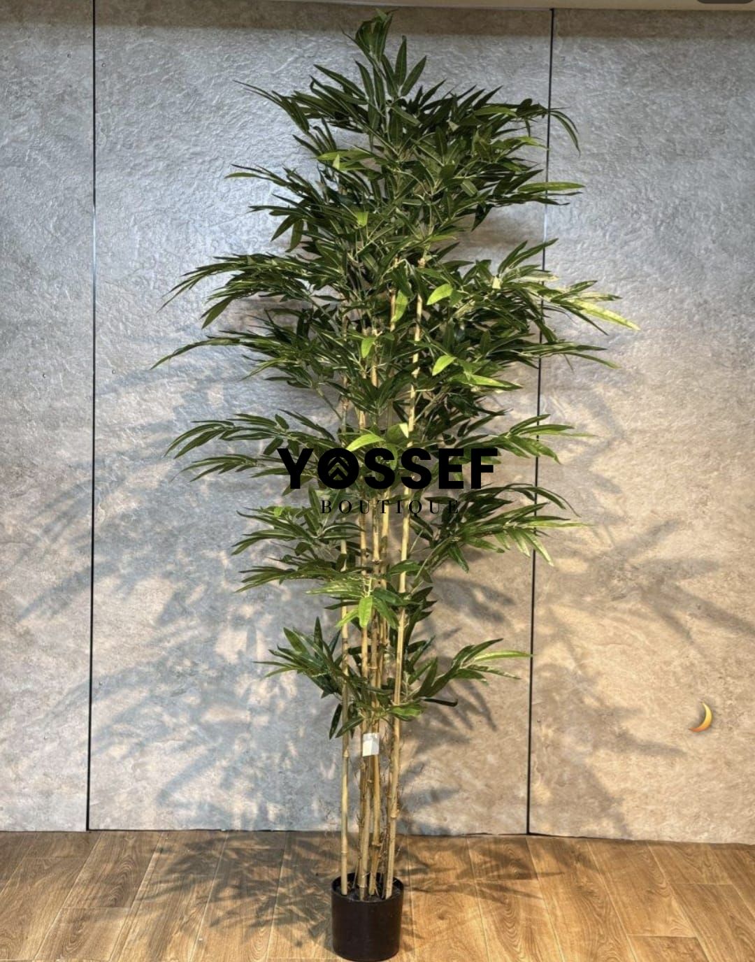 WhatsApp Image 2026-02-16 at 09.27.06.jpeg