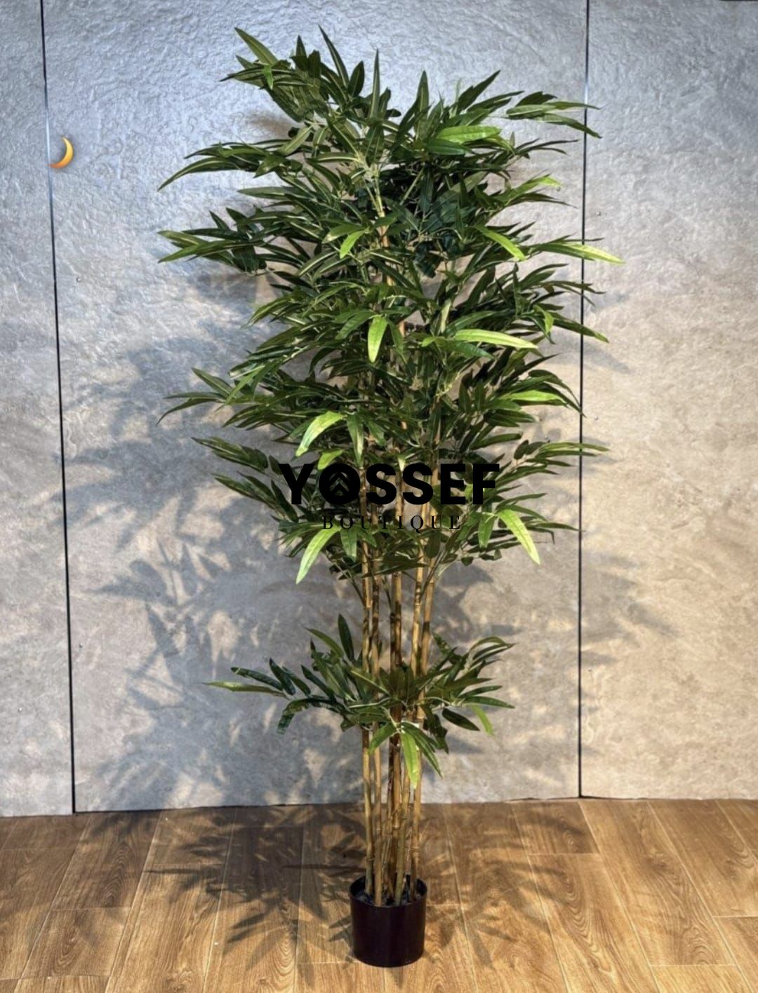 WhatsApp Image 2026-02-16 at 09.25.57.jpeg