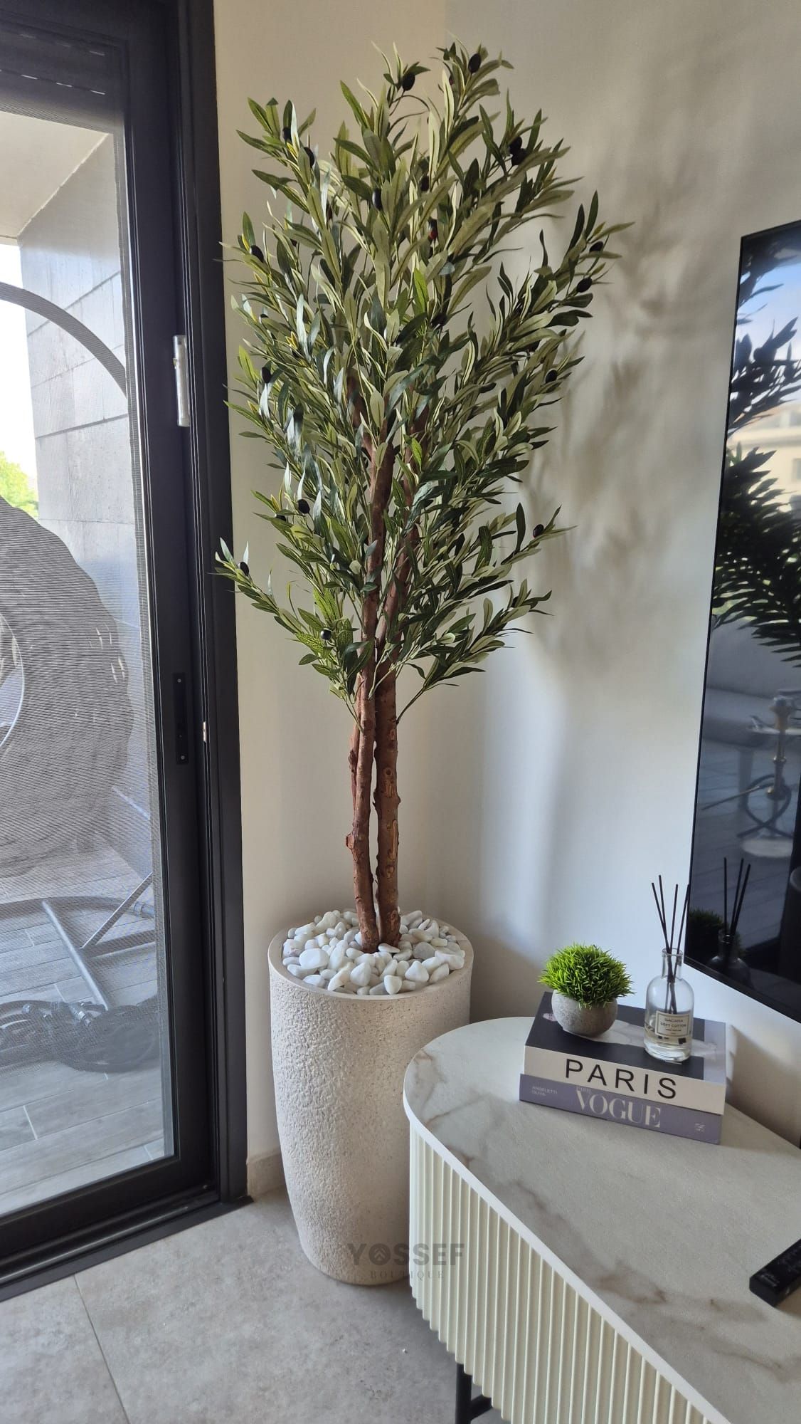 PHOTO-2026-04-06-11-10-32 2.jpg